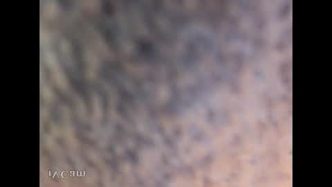 Snapshot of soji008 chatting on October 20, 5:22 am honoko0089 online show from October 20, 5:22 am