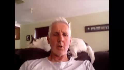 Soloman online show from December 1, 6:38 am