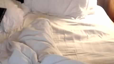 Snapshot of st8llion chatting on January 24, 7:19 am st8llion online show from January 24, 7:19 am