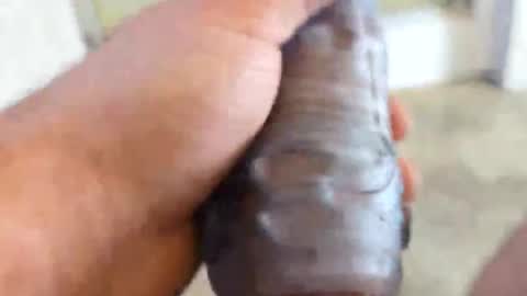 stareyes0249 online show from November 16, 5:26 pm