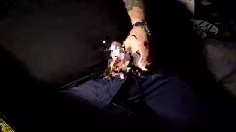 steelman8484 online show from December 31, 5:29 pm