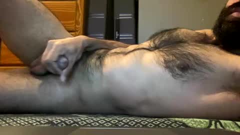 Lobo del Antiguo Oriente online show from April 2, 5:27 am