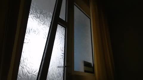 Steven online show from December 28, 12:36 pm