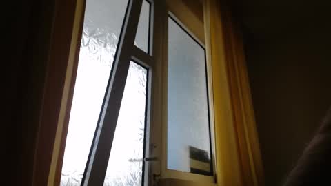 Steven online show from January 26, 11:28 am