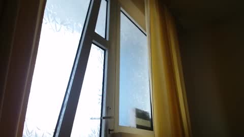 Steven online show from February 19, 1:39 pm