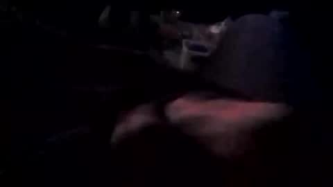 stevo15379 online show from October 1, 11:14 am