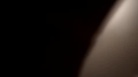 Oval2022 online show from December 21, 8:18 am