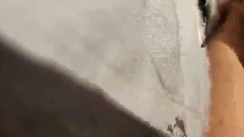 t328892 online show from January 18, 5:48 pm