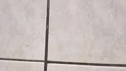 tall6feet7inch online show from September 11, 9:41 am