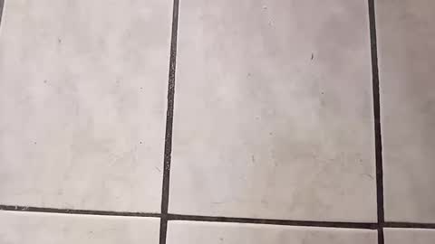 tall6feet7inch online show from September 28, 7:56 pm