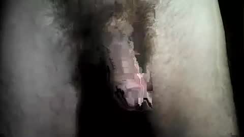 taylor3made online show from March 18, 1:41 am