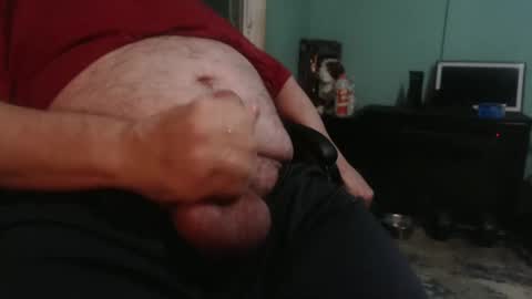 Templargeor online show from September 26, 2:42 am