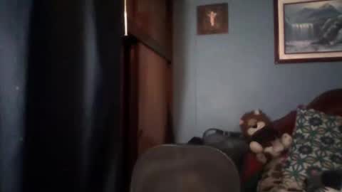 Fabio Canavaro online show from November 20, 11:14 pm