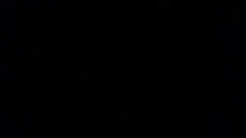 PIM online show from November 12, 12:00 pm