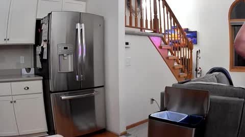 thegreat6268469 online show from September 21, 1:50 am