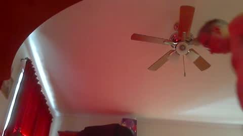 Neo online show from October 3, 8:25 pm