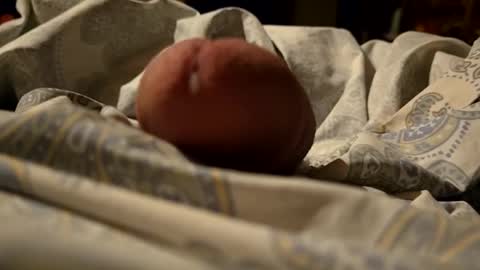 Snapshot of thisloadsforu chatting on February 9, 7:16 am thisloadsforu online show from February 9, 7:16 am