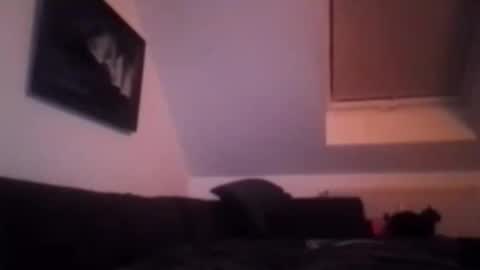 tigertrance online show from November 17, 1:52 am