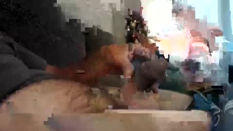 Snapshot of tlcdad chatting on December 12, 11:29 am tlcdad online show from December 12, 11:29 am