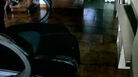 Tobiko online show from December 28, 4:52 pm