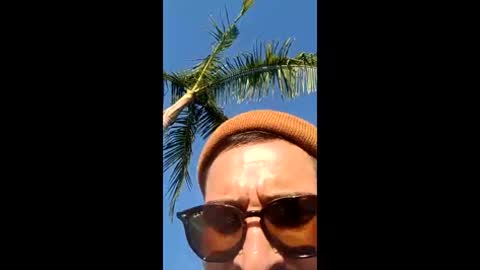 tommysprungger3 online show from May 3, 1:08 am
