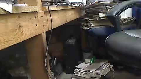 Snapshot of tony2700targa chatting on October 23, 2:42 pm tony2700targa online show from October 23, 2:42 pm