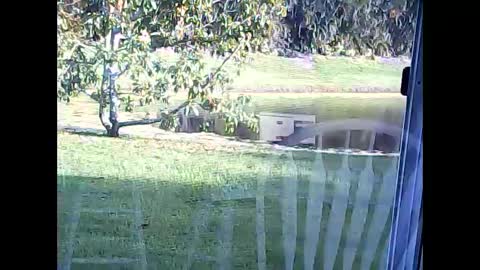 tonymcfly99 online show from February 21, 9:43 pm