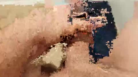 ARKANSAS THICK WOOD online show from March 4, 2:29 am