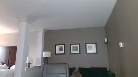 Snapshot of toomuchsmoke chatting on February 6, 12:22 am toomuchsmoke online show from February 6, 12:22 am