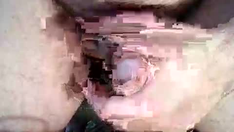 Anton online show from January 11, 7:45 am