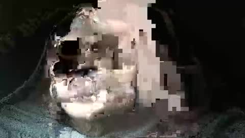 triponsex online show from March 24, 9:41 pm