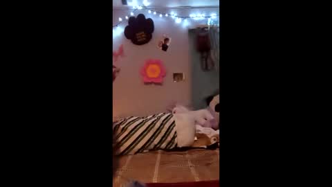 trippgray746 online show from March 30, 6:58 am