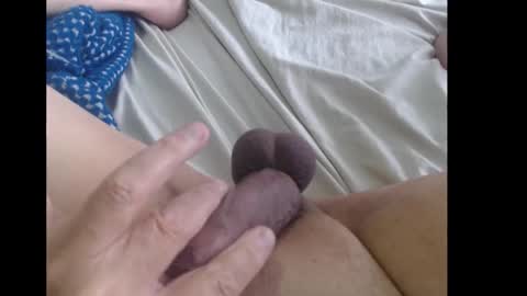 tropi or pam online show from November 24, 4:30 pm