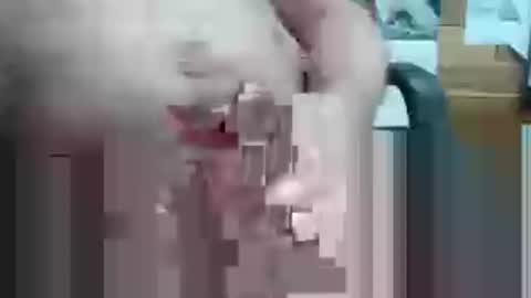 uncledon49 online show from February 24, 3:02 pm