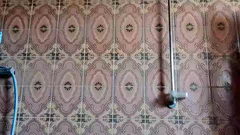 valentinosweet online show from March 19, 11:35 am