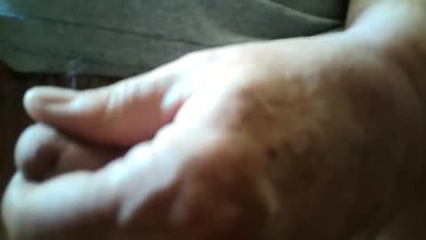 vamale online show from November 6, 7:06 pm