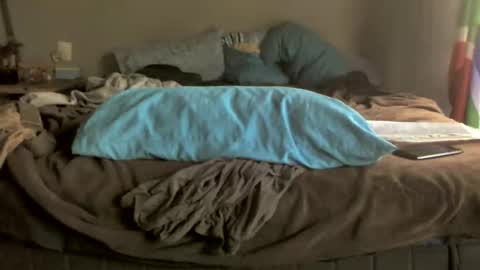 ZABi online show from January 13, 1:28 pm