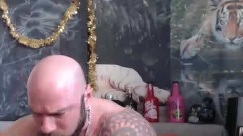 viking online show from February 12, 7:25 am