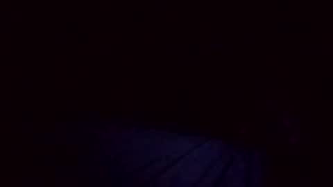 vujadetr online show from October 16, 10:12 am