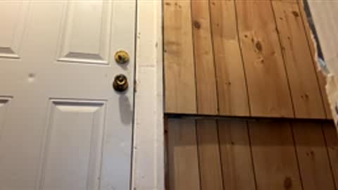 Walter online show from December 14, 2:46 pm