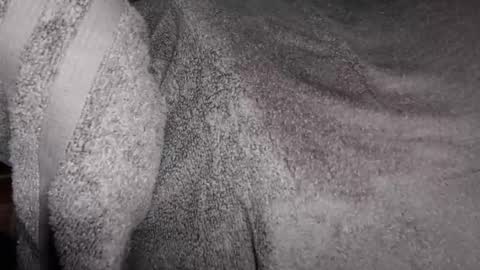 Jimmy online show from January 22, 9:00 pm