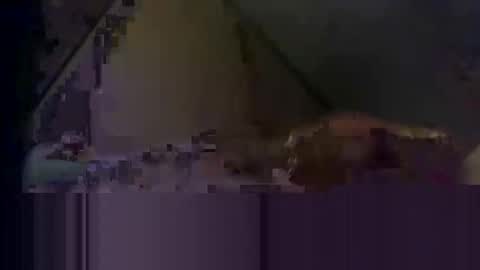 waynedmiller60895321 online show from April 2, 2:53 am