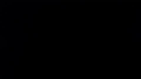 wellingtont online show from November 7, 3:37 pm