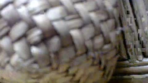 Ryder Harder online show from September 25, 11:53 am