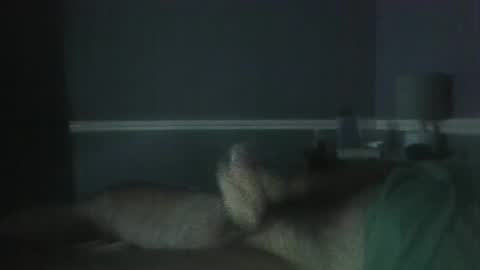 Jerkoff Brad online show from October 28, 5:15 pm