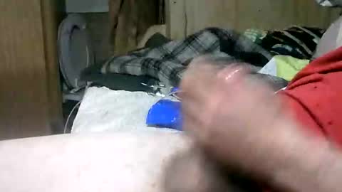 wolfbo6699 online show from November 30, 4:31 pm