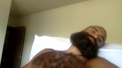woof_wolf37 online show from June 1, 6:19 pm