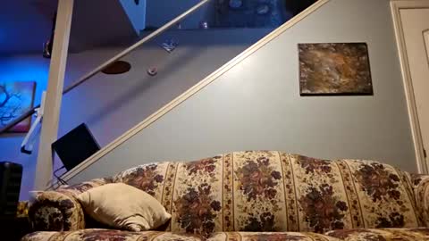 BONER DONOR online show from February 16, 7:15 am