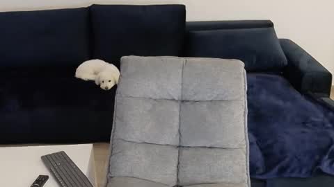 xxx_alejandro online show from January 8, 9:25 am