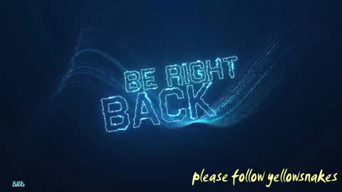 .     y e l l o w s n a k e s       . online show from March 15, 12:40 am